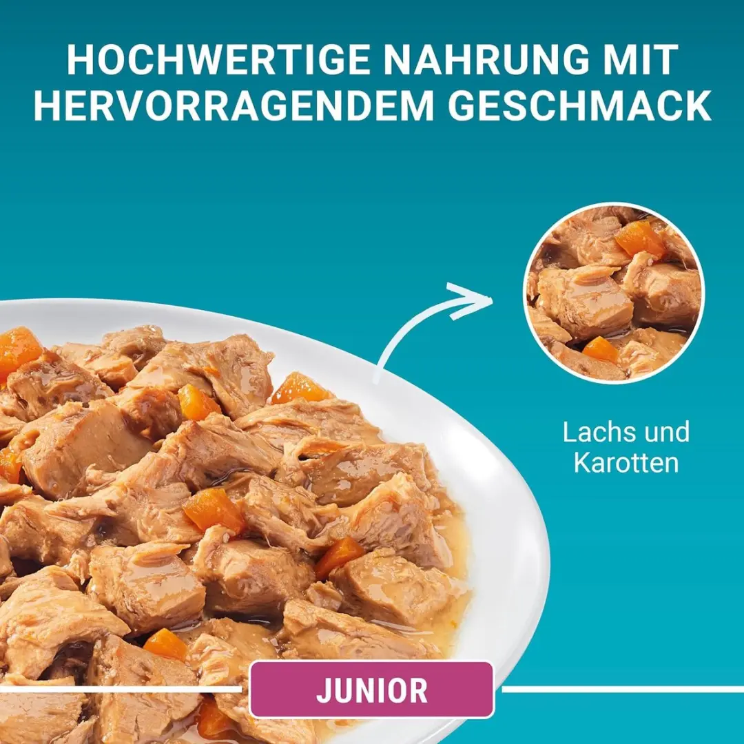 Purina ONE Junior Natvoer Zalm & Wortelen - 48 Stuks
