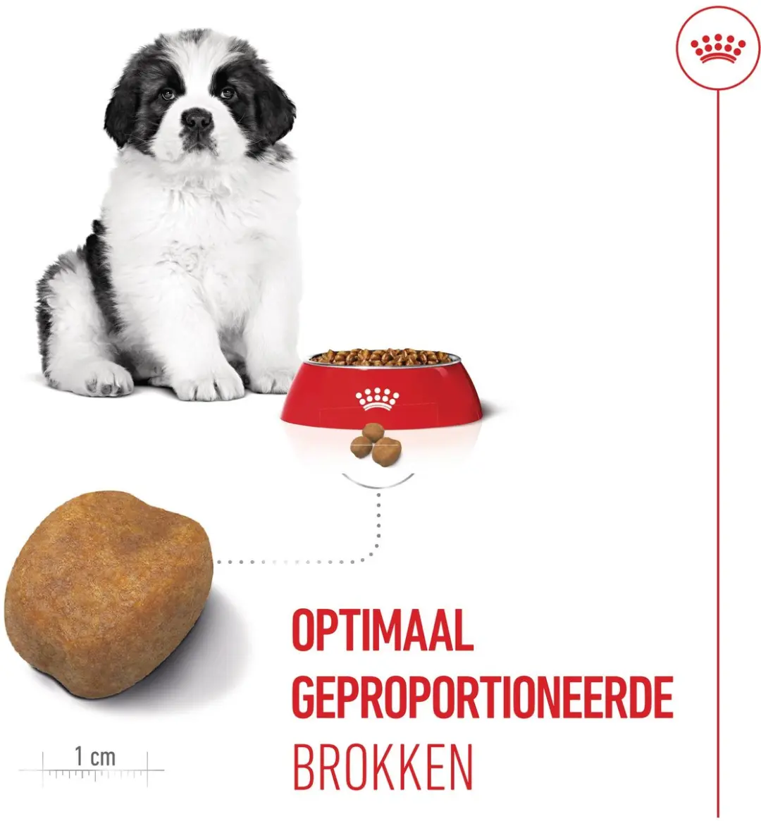 Royal Canin Giant Puppy Hondenvoer - 3,5 kg