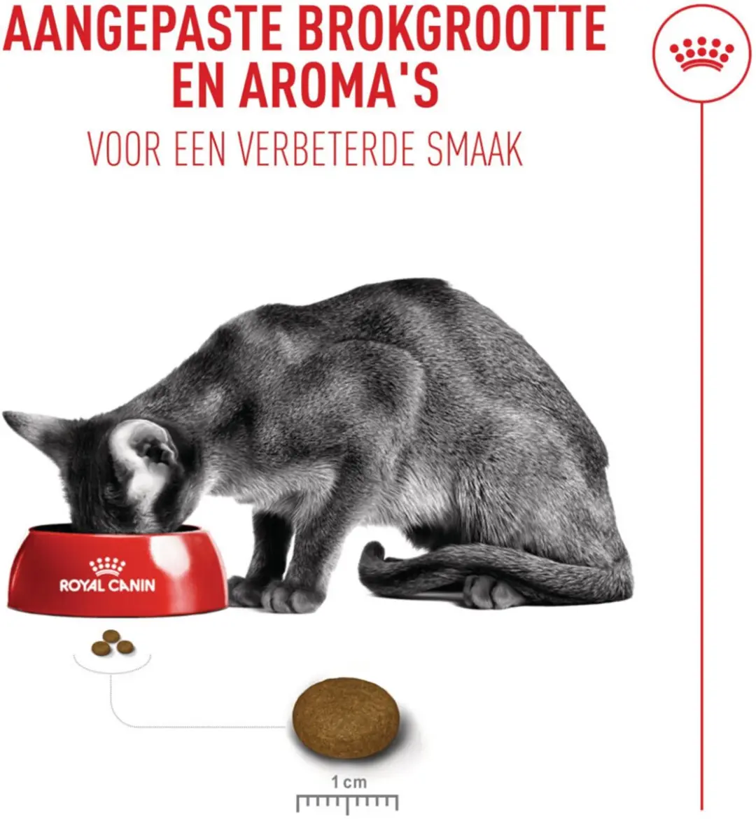 Royal Canin Exigent Fussy Kat Droogvoer 4kg