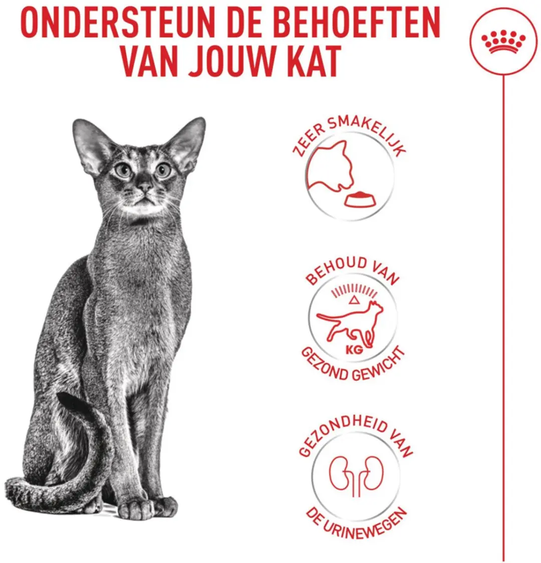 Royal Canin Exigent Fussy Kat Droogvoer 4kg - afbeelding 6 van 6