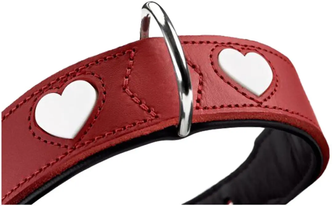 Hunter Collar Love Hondenhalsband - Rood - L-XL
