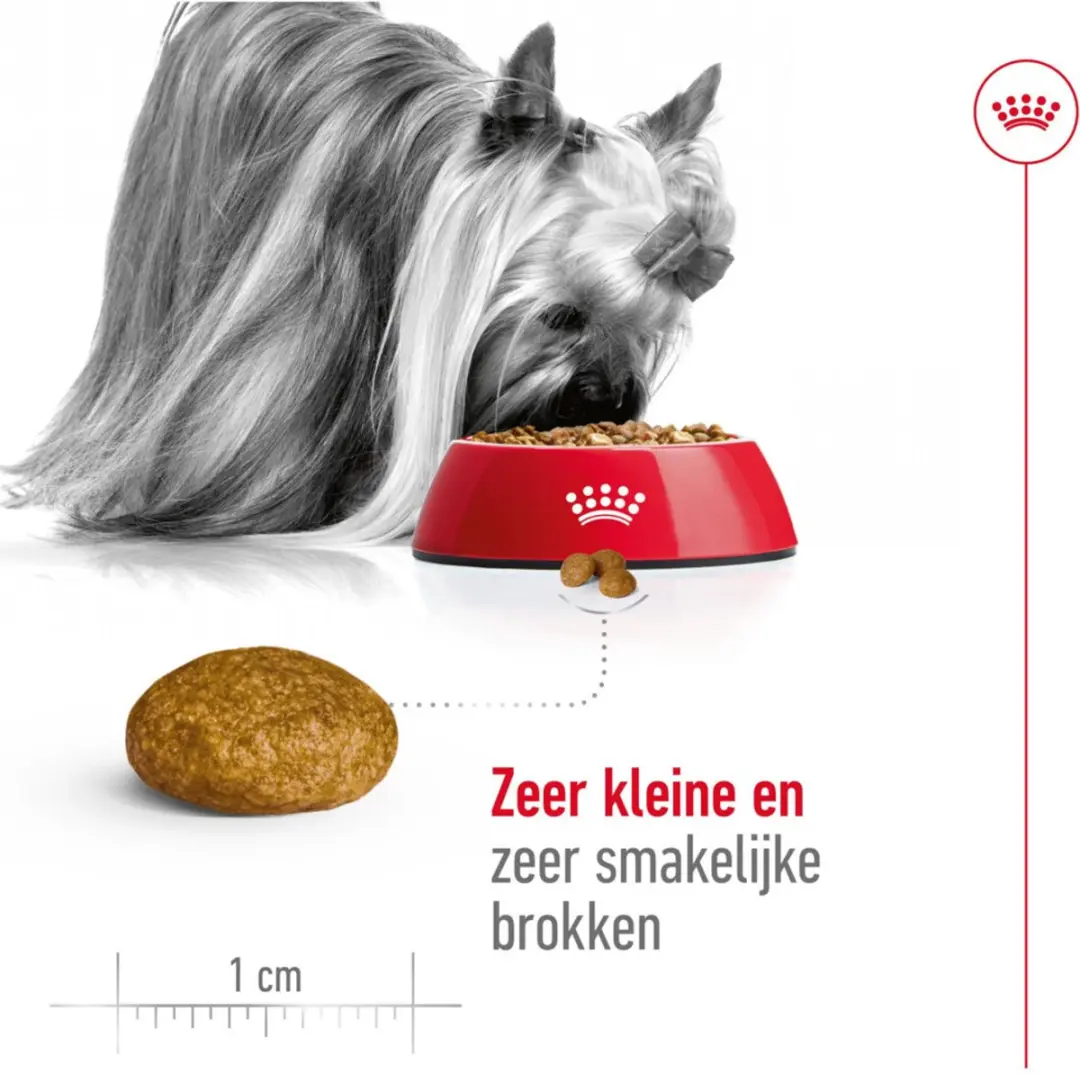 Royal Canin X-Small Adult Hondenvoer - 12 kg (4x3kg)