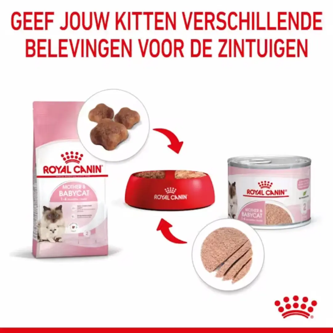 Royal Canin Mother & Baby Mousse Kattenvoer Nat - 12x195g