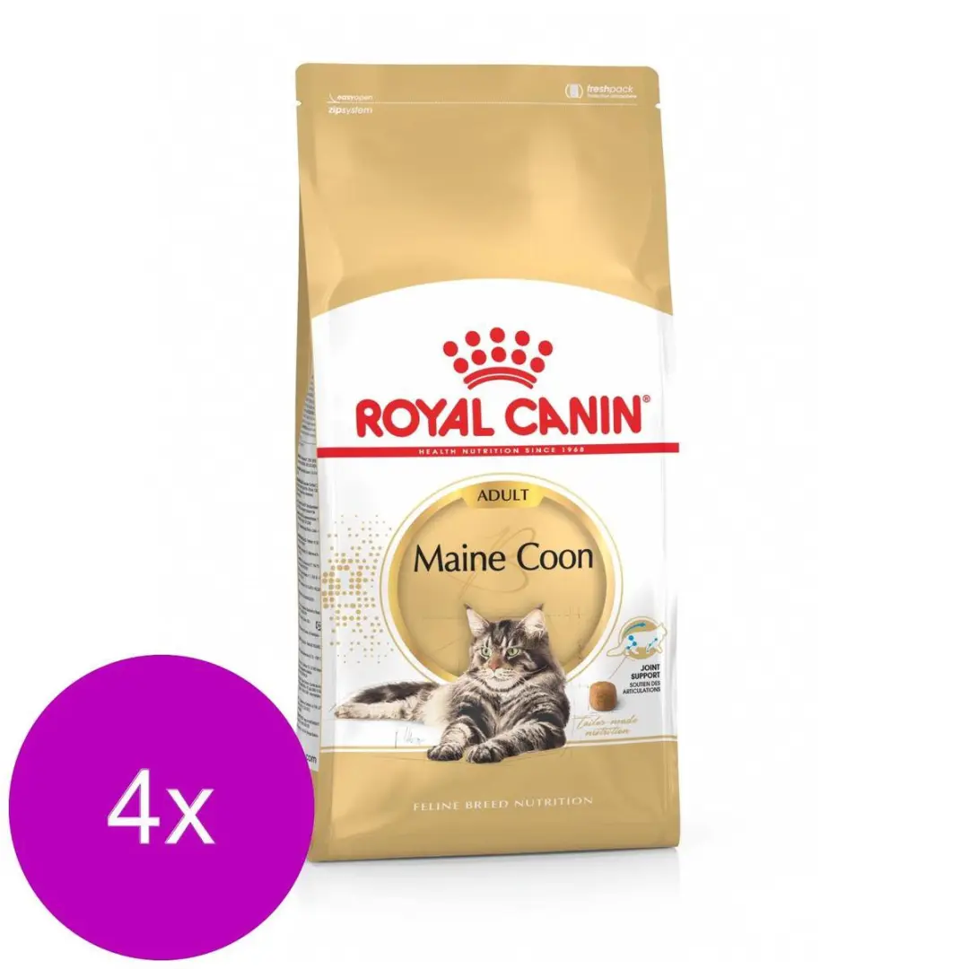 Royal Canin Maine Coon Adult Kattenvoer - 4x4kg