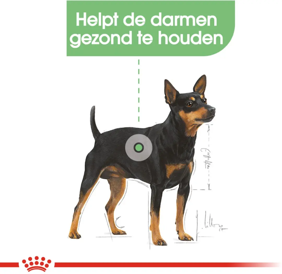 Royal Canin Digestive Care Hondenvoer - 12x85g