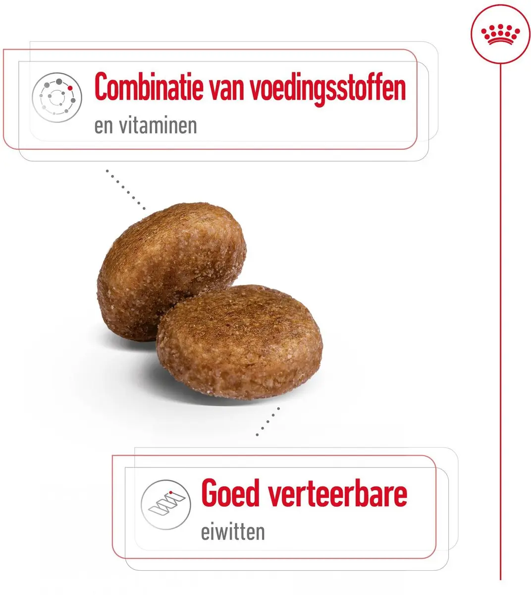 Royal Canin Maxi Adult 5+ Hondenvoer 15kg