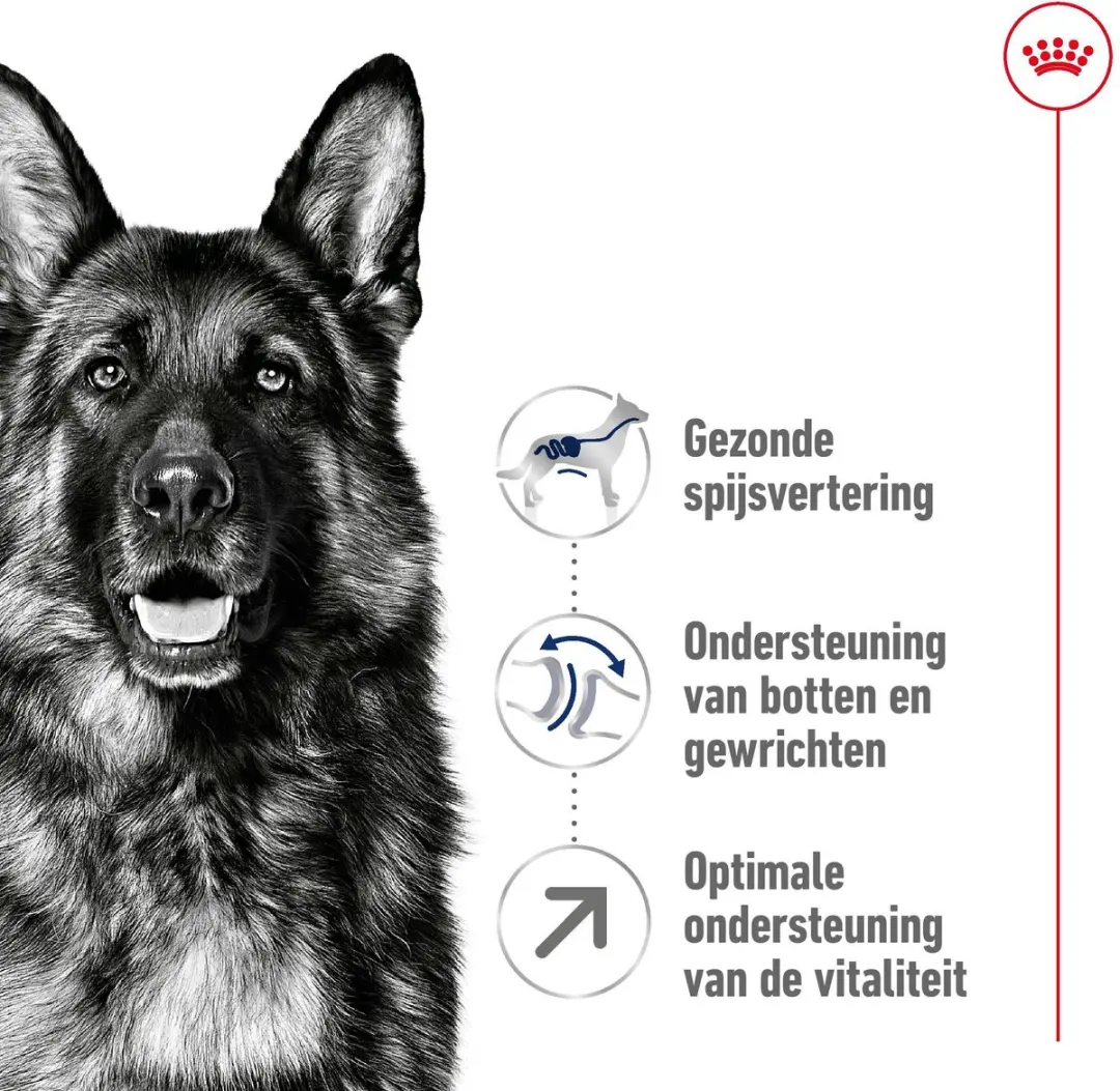 Royal Canin Maxi Adult 5+ Hondenvoer 15kg