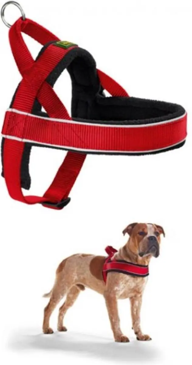 Hunter Norweger Racing Harnas - Small - Rood/Zwart