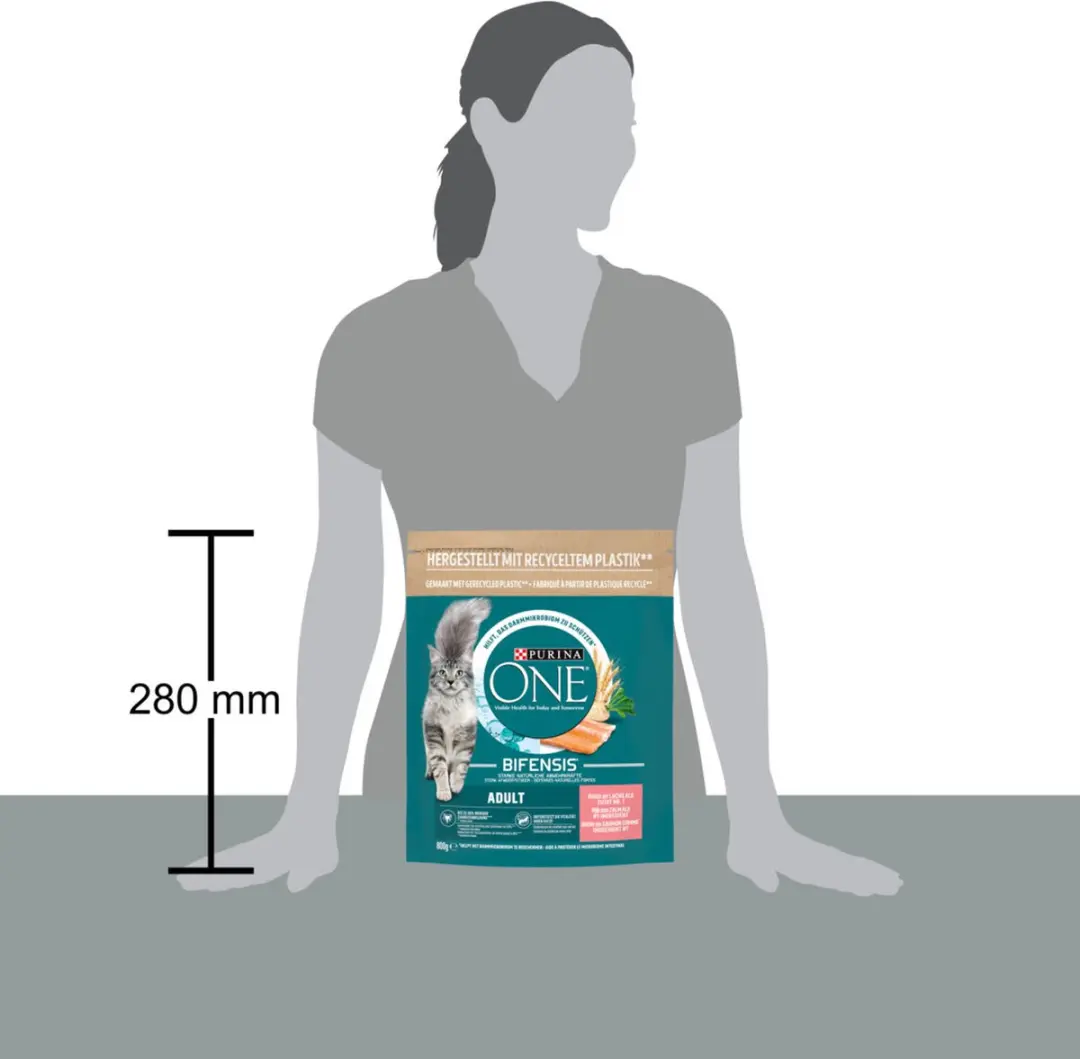 Purina ONE Adult Zalm Volkoren Granen 800g