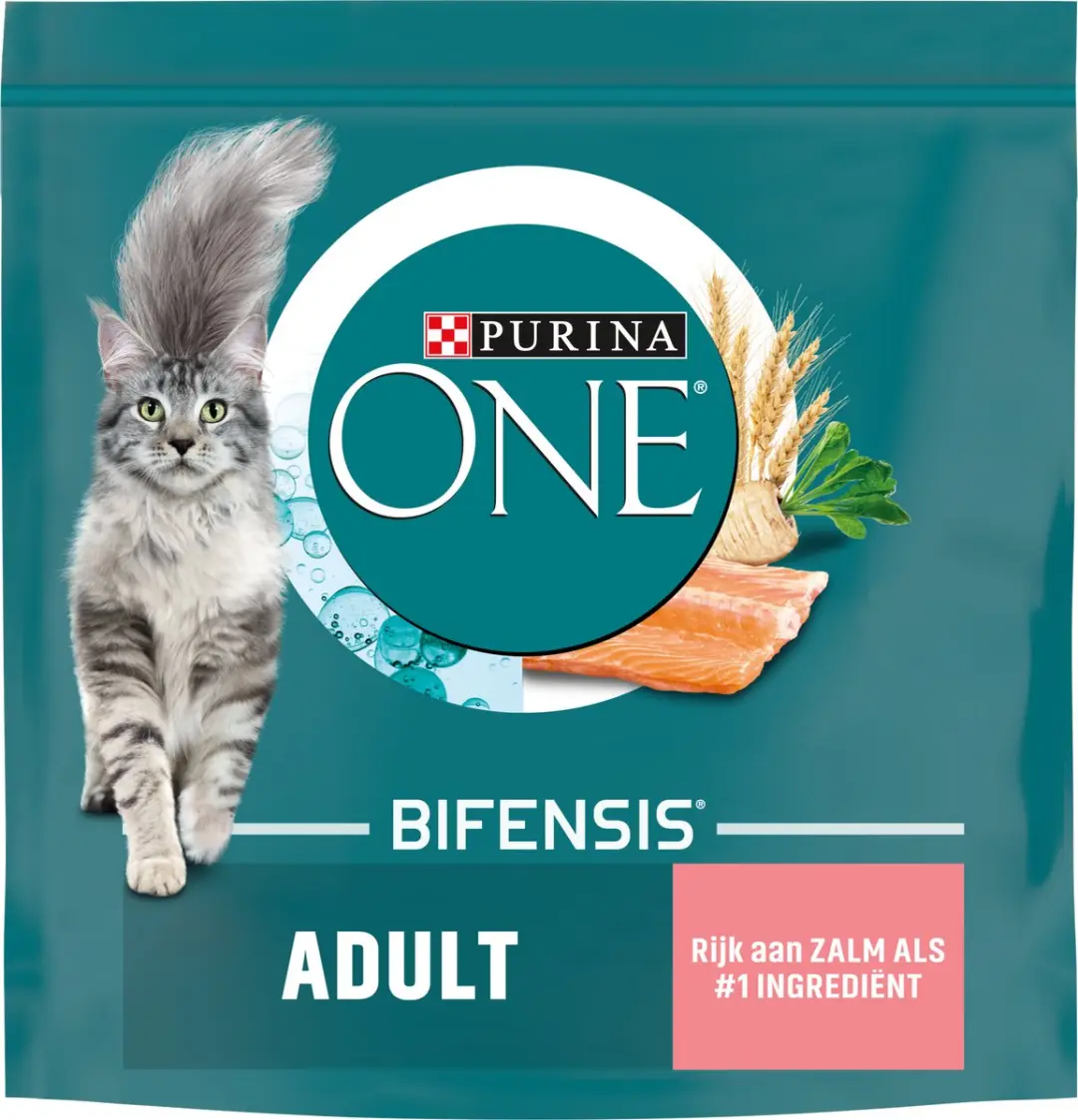 Purina ONE Adult Zalm Volkoren Granen 800g