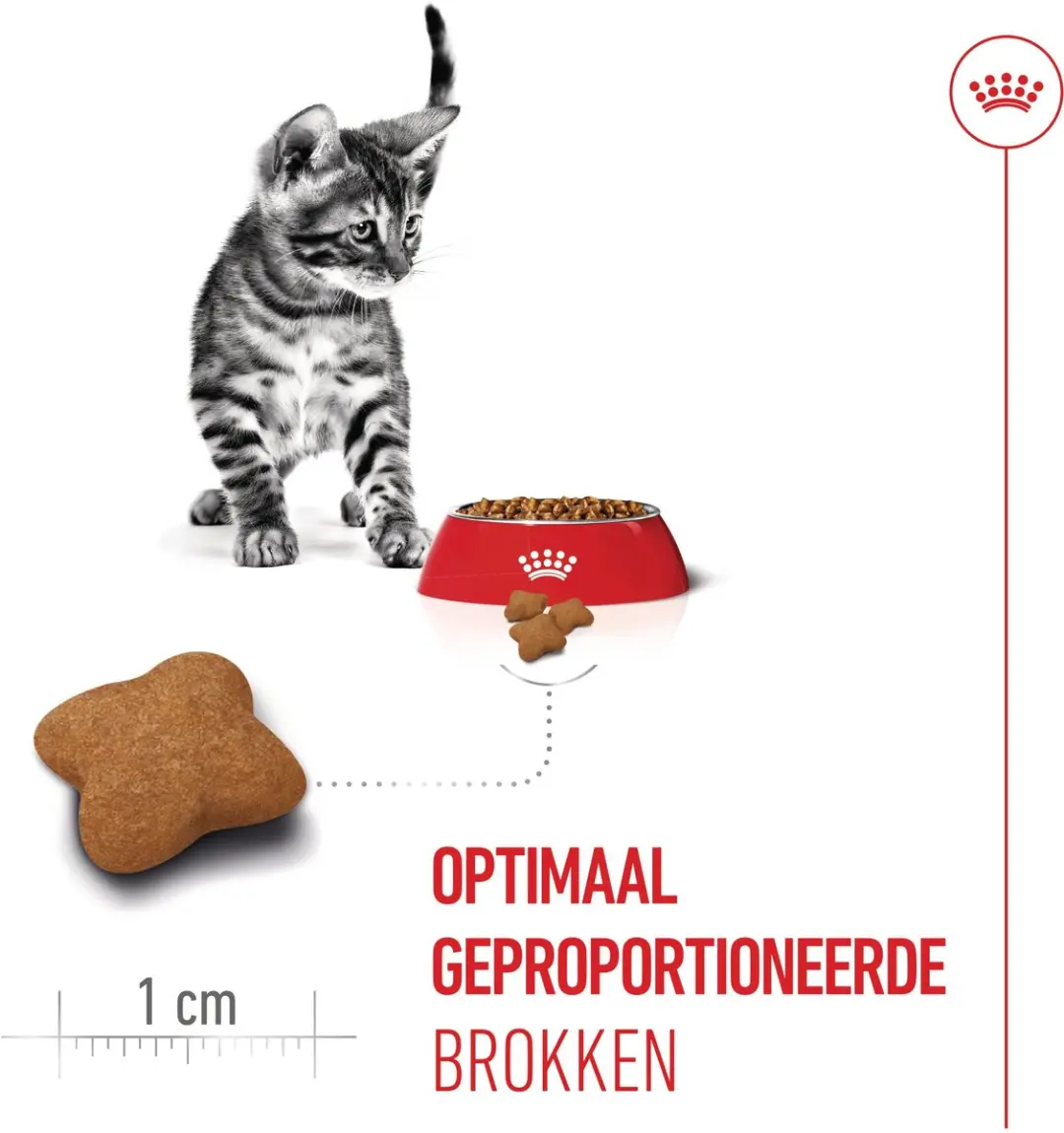 Royal Canin Kitten Sterilised Brokken 3.5kg