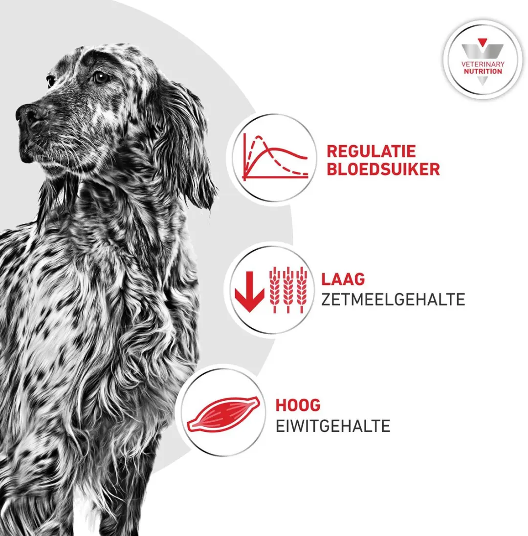Royal Canin Glycobalance Hond 7kg