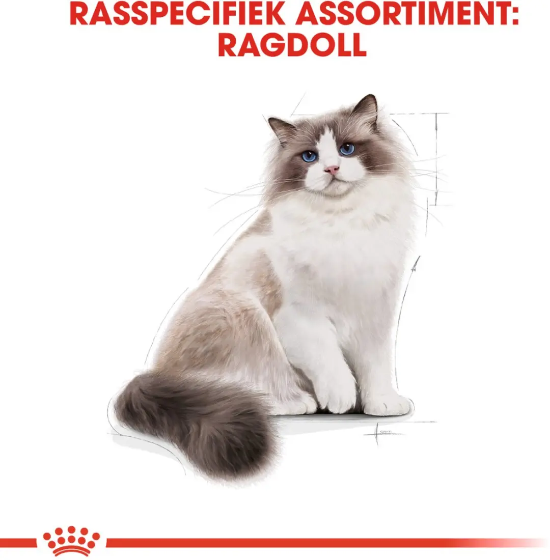 Royal Canin Ragdoll Adult Kattenvoer 400g