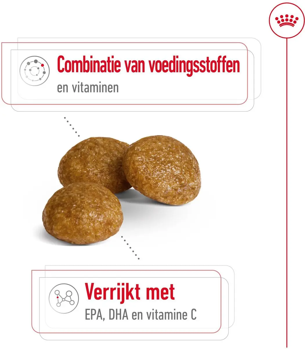 Royal Canin X-Small Adult 8+ Hondenvoer 500g