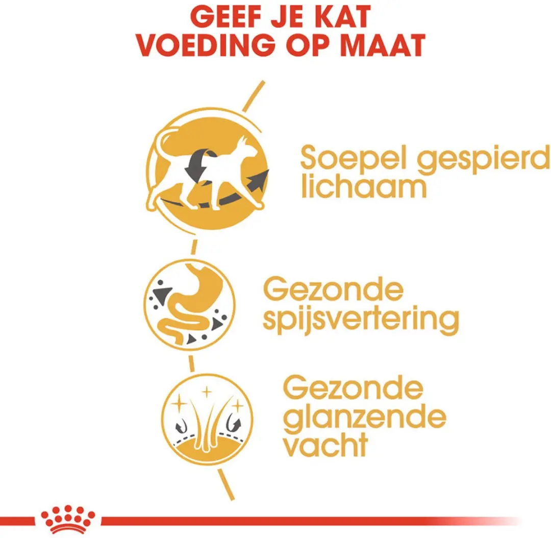 Royal Canin Sphynx Adult Kattenvoer - 2kg