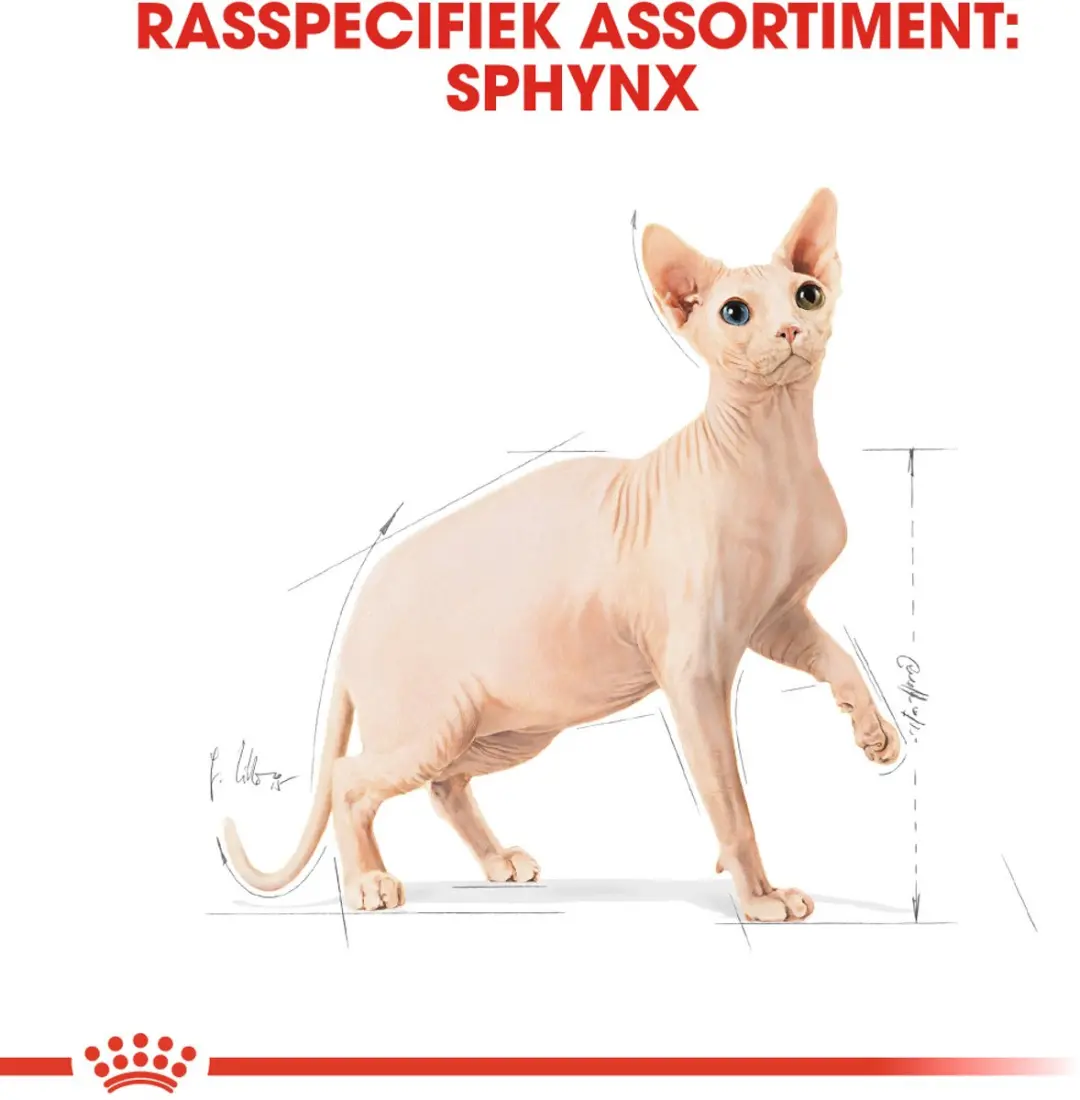 Royal Canin Sphynx Adult Kattenvoer - 2kg