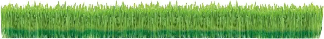 GimCat Kattengras Kattenkruid 150g
