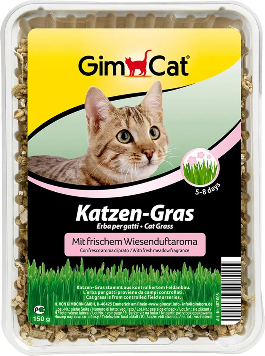 GimCat Kattengras Kattenkruid 150g