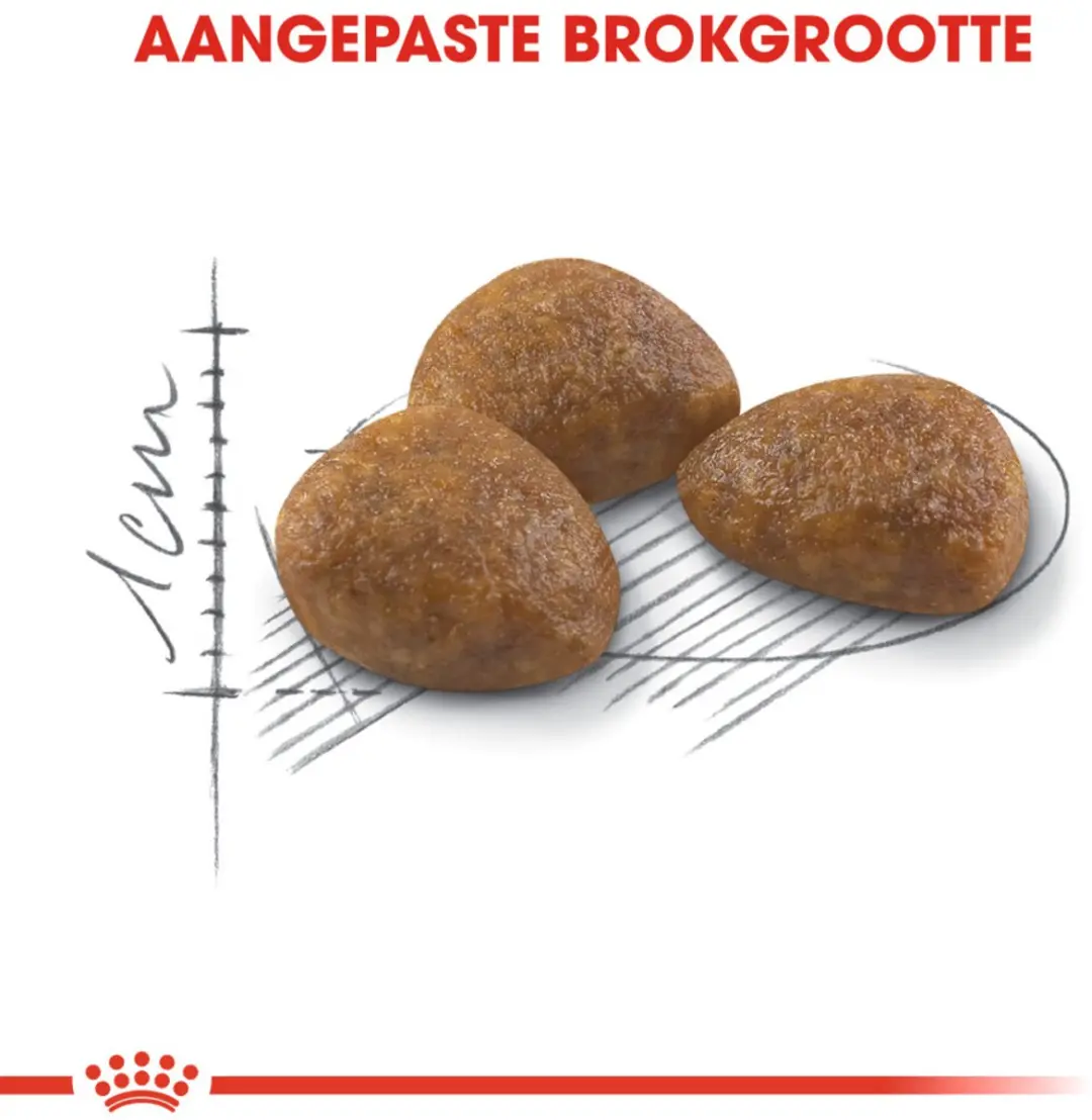 Royal Canin Outdoor 7+ Kattenvoer - 12x400g