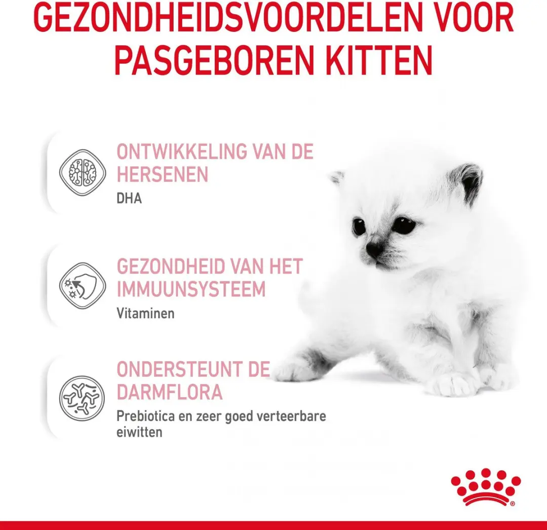 Royal Canin Babycat Milk Kittenvoer 300g - afbeelding 6 van 6