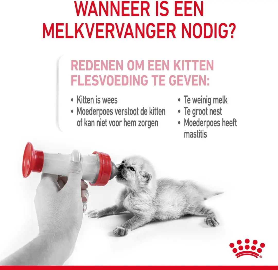 Royal Canin Babycat Milk Kittenvoer 300g