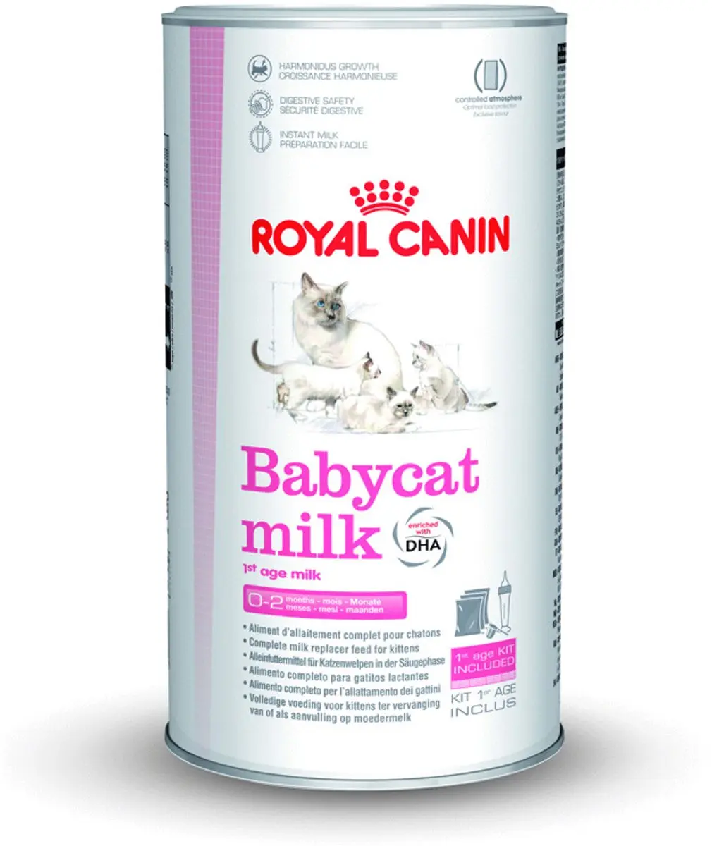 Royal Canin Babycat Milk Kittenvoer 300g