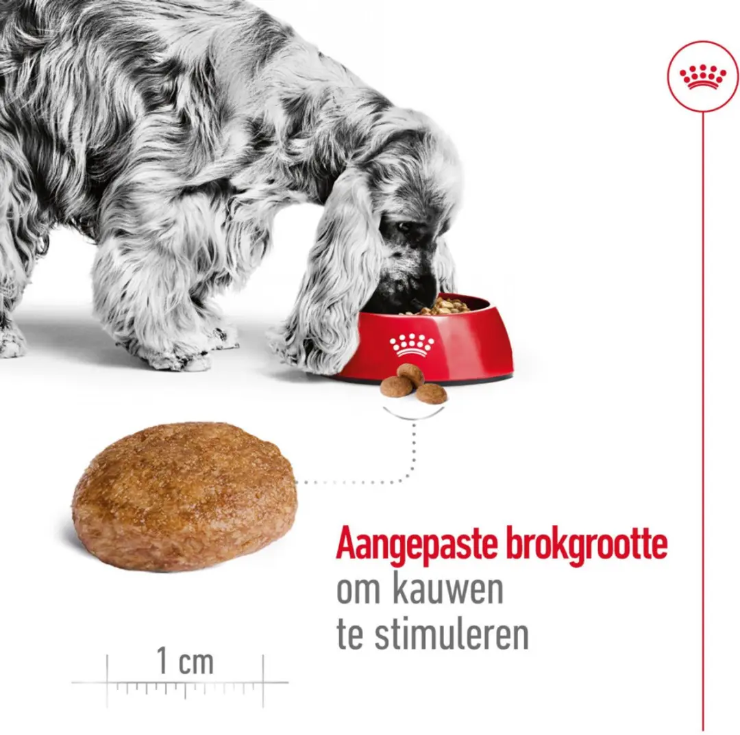 Royal Canin Medium Adult 7+ Hondenvoer - 4x4kg