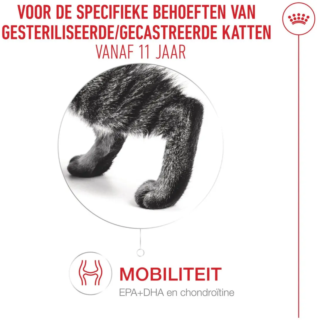 Royal Canin FHN Ageing Kattenvoer 11+ Gesteriliseerd 4kg