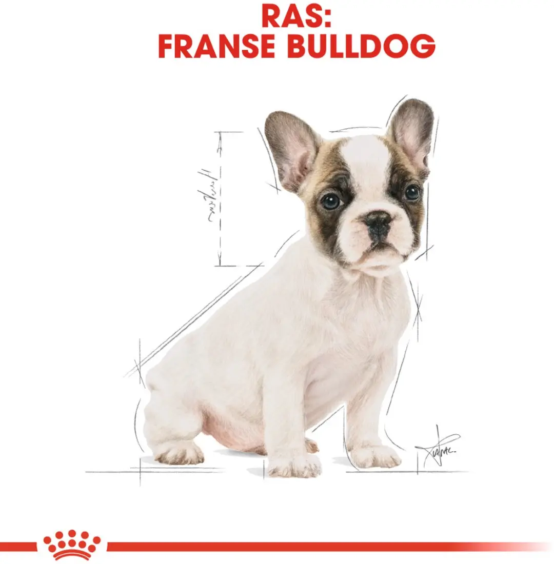 Royal Canin French Bulldog Puppy Hondenvoer - 3kg - afbeelding 6 van 6