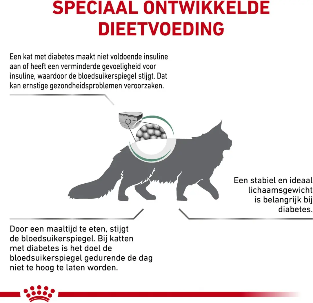Royal Canin Diabetic Kat Combi Bundel - 3,5kg + 12x85g - afbeelding 6 van 6