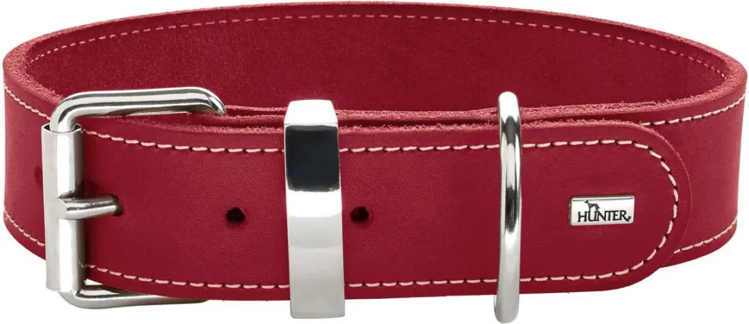 Hunter Halsband Aalborg Special