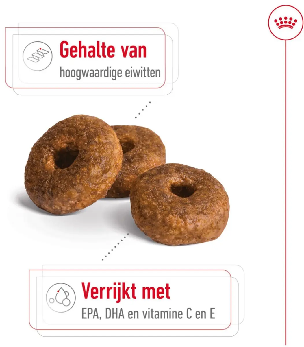 Royal Canin Medium Adult 7+ Hondenvoer - 10 kg