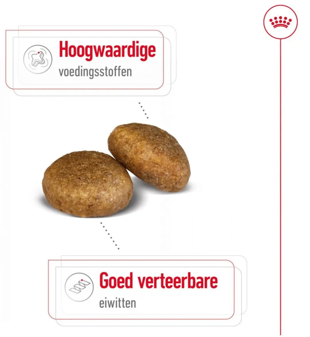 Royal Canin Hondenvoer Droog Maxi Adult 1kg