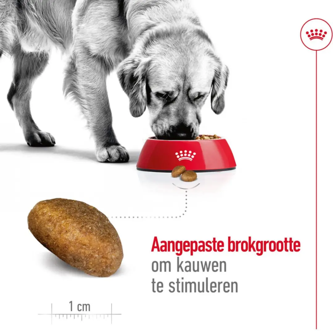 Royal Canin Hondenvoer Droog Maxi Adult 1kg