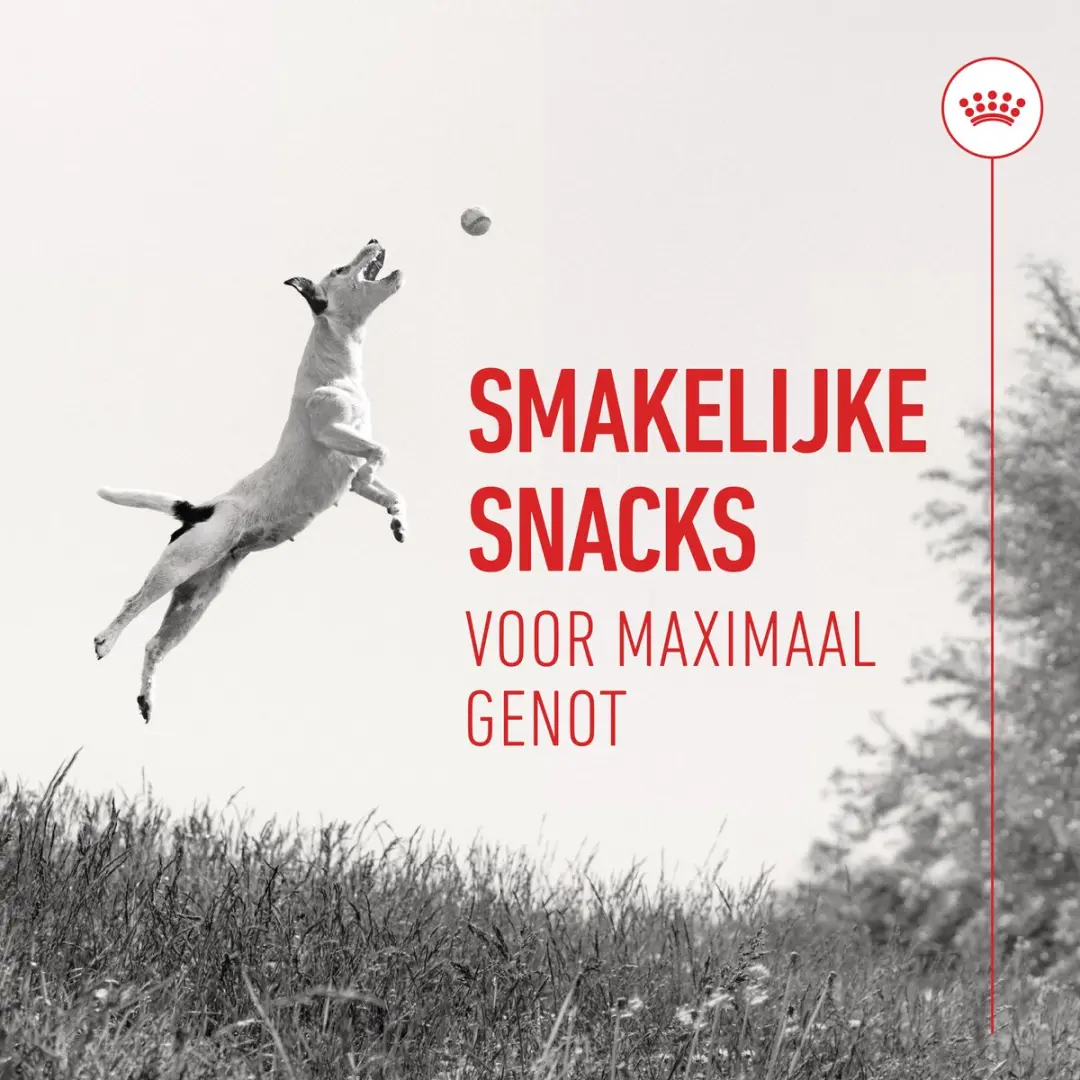 Royal Canin Training Treats Hondensnacks 110g