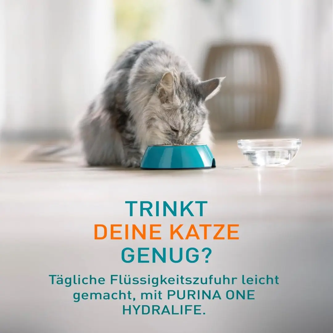 Purina ONE Hydralife Nat Kattenvoer Adult Kip - 6x50g - afbeelding 6 van 6