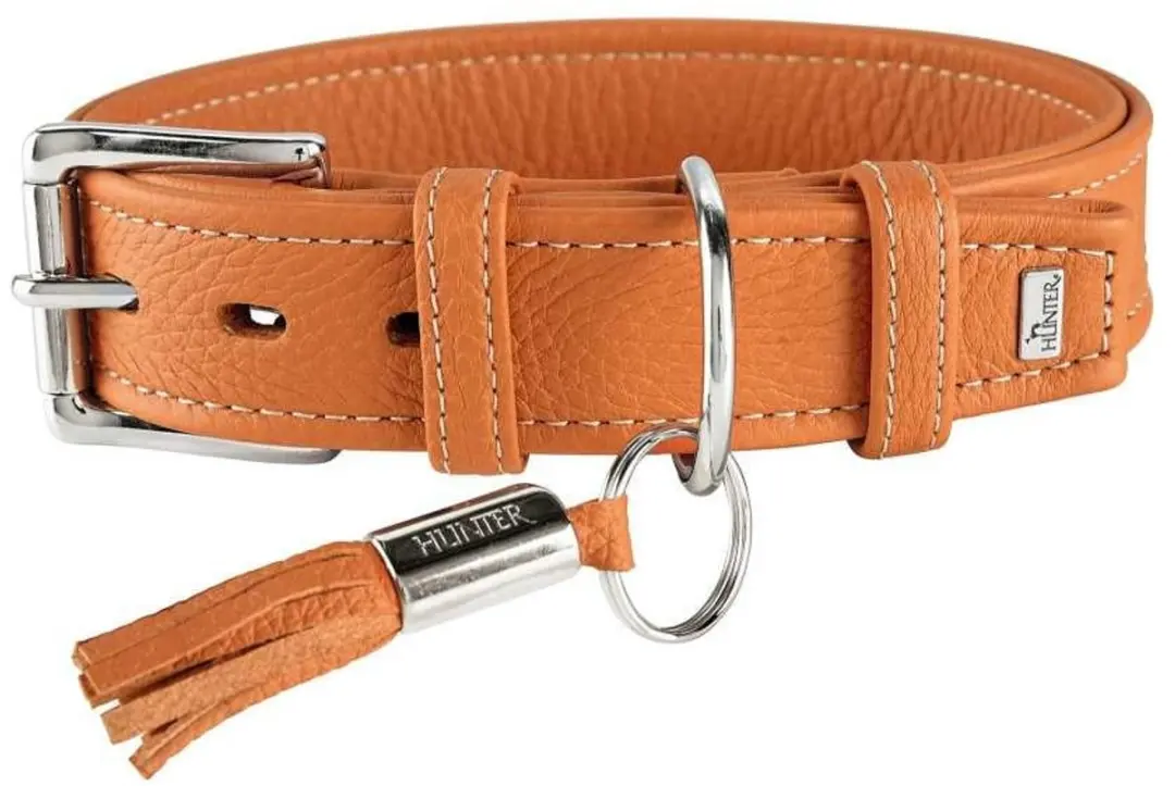 Hunter Hondenhalsband Cannes - 49-57cm Oranje