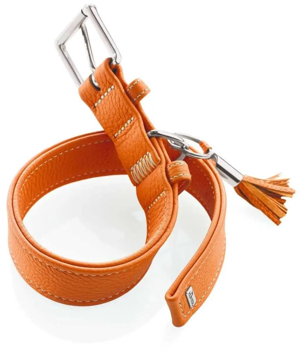 Hunter Hondenhalsband Cannes