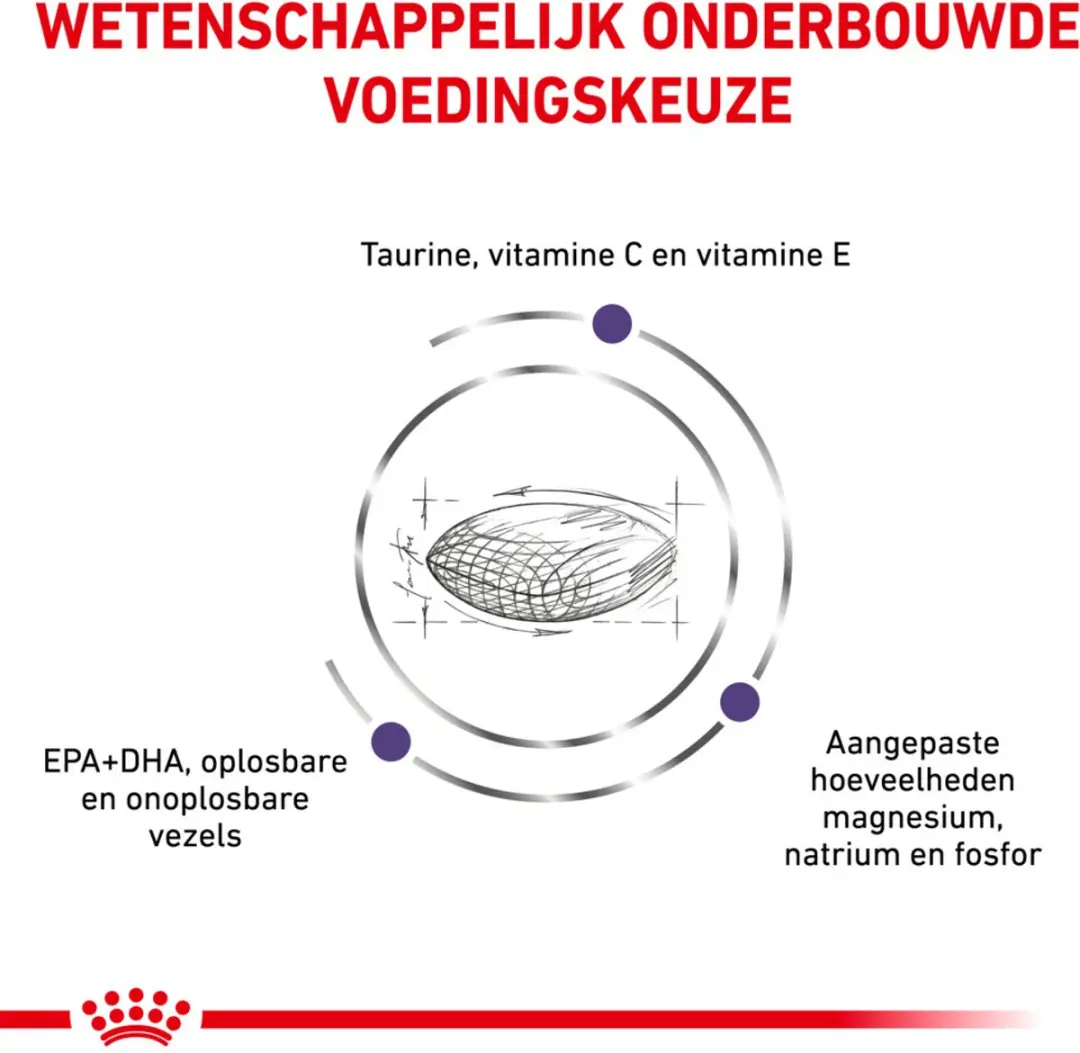 Royal Canin Kattenvoer Droog Expert Adult 2kg