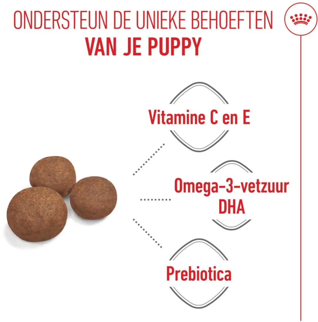 Royal Canin Hondenvoer Droog Medium Puppy 1kg - afbeelding 6 van 6