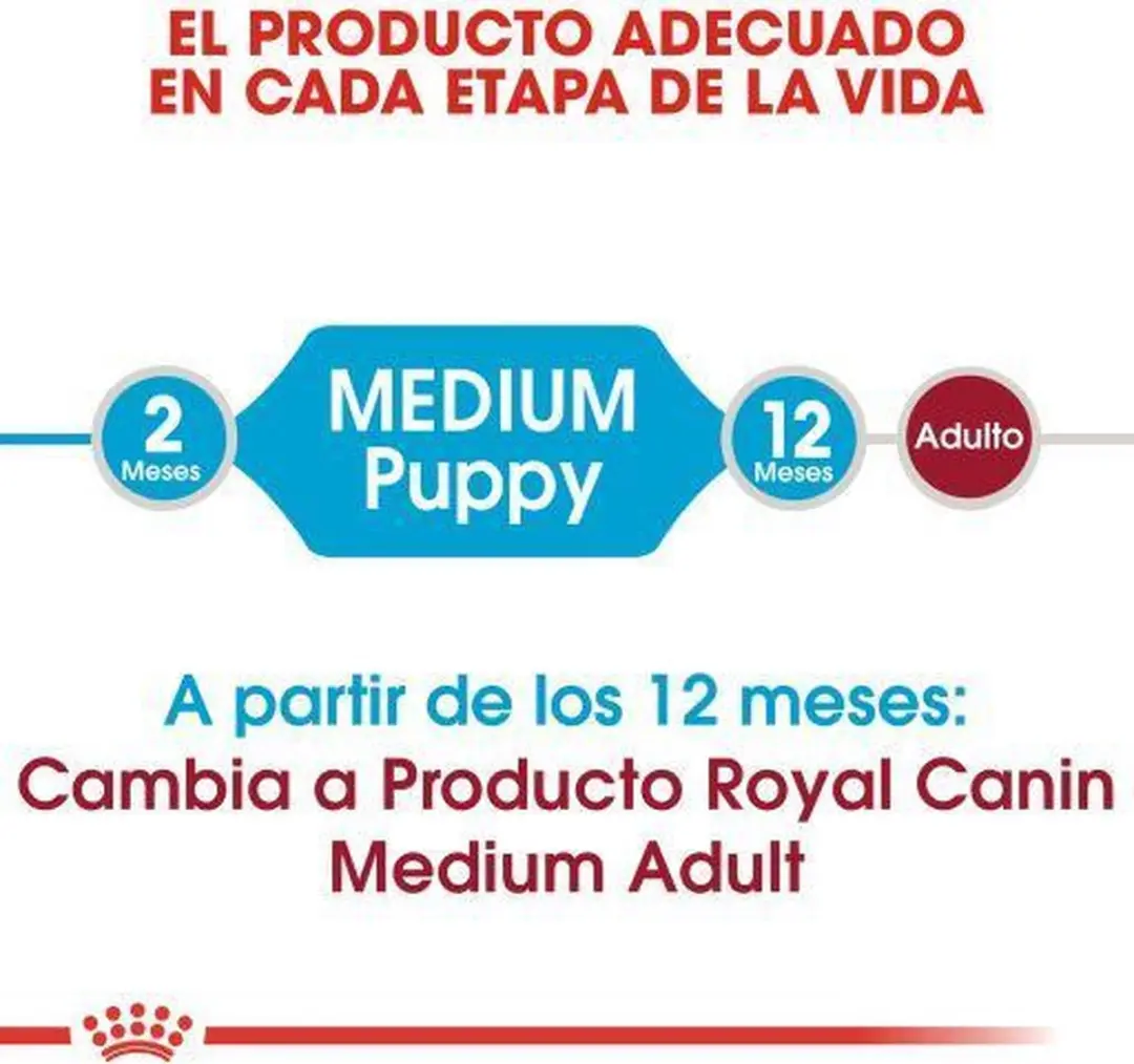 Royal Canin Hondenvoer Droog Medium Puppy 1kg
