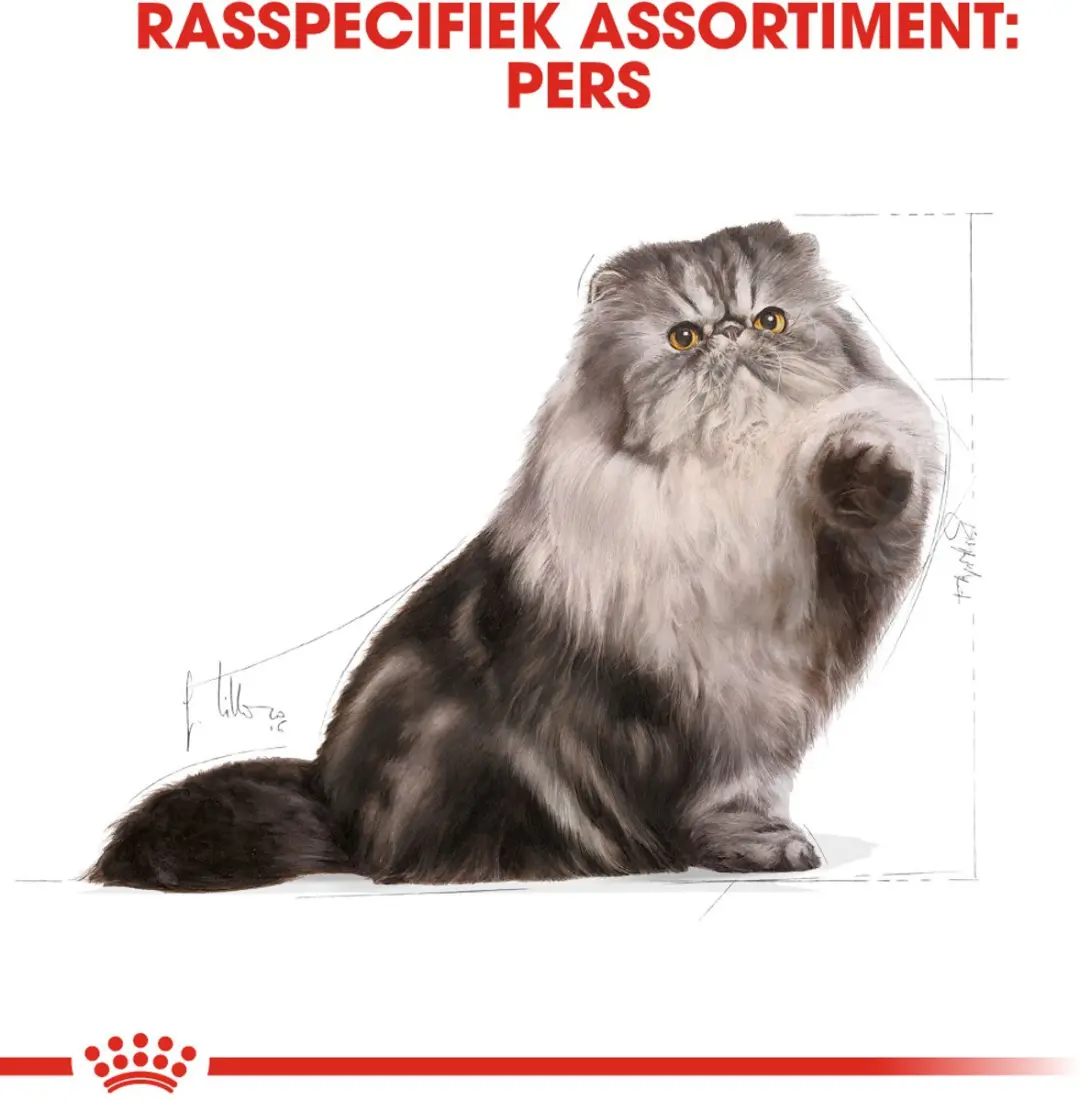 Royal Canin Persian Adult Kattenvoer 400g