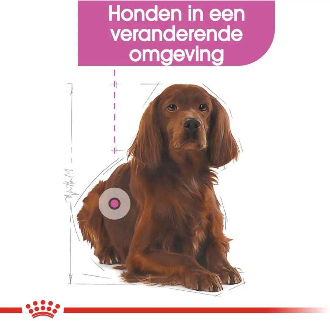 Royal Canin Relax Care Medium Hondenvoer 3kg