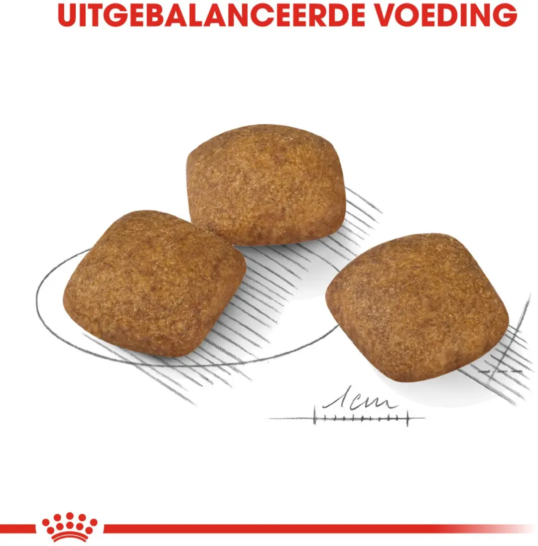 Royal Canin Relax Care Medium Hondenvoer 3kg
