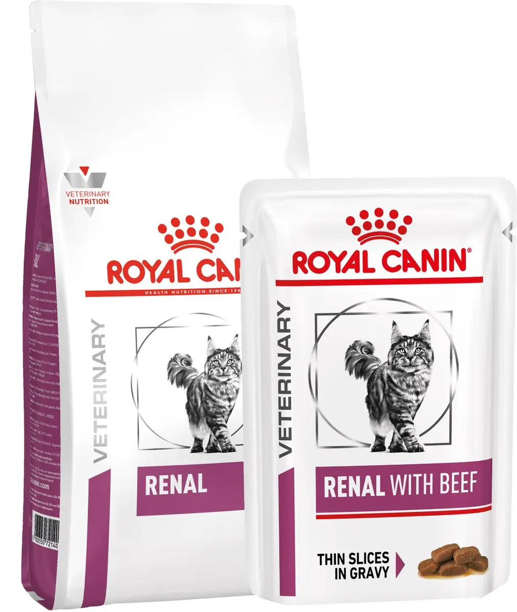 Royal Canin Renal Kat Combi Bundel - 4kg + 20 Stuks (12x85g)