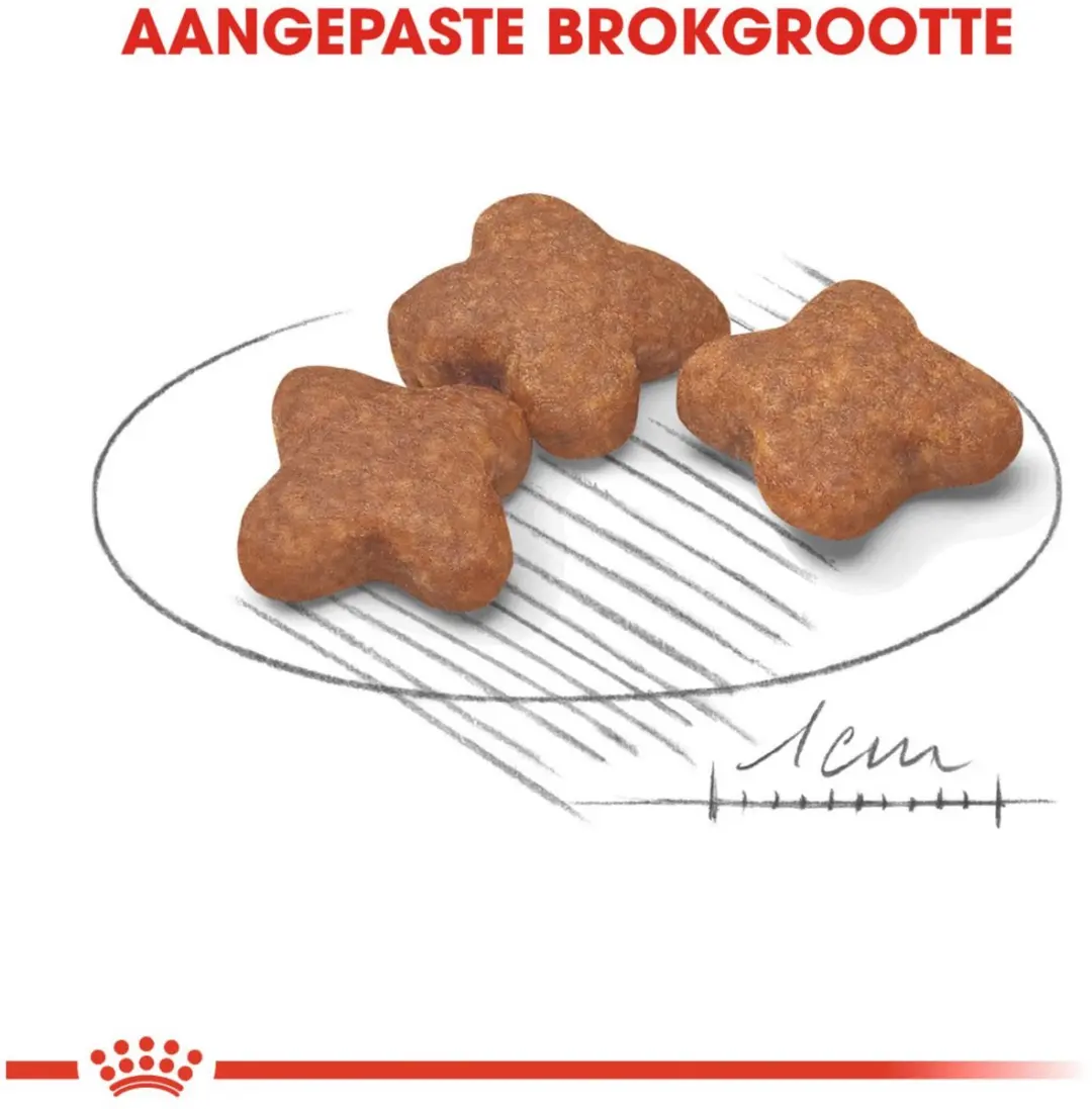 Royal Canin Mini Adult 8+ Hondenvoer 800g