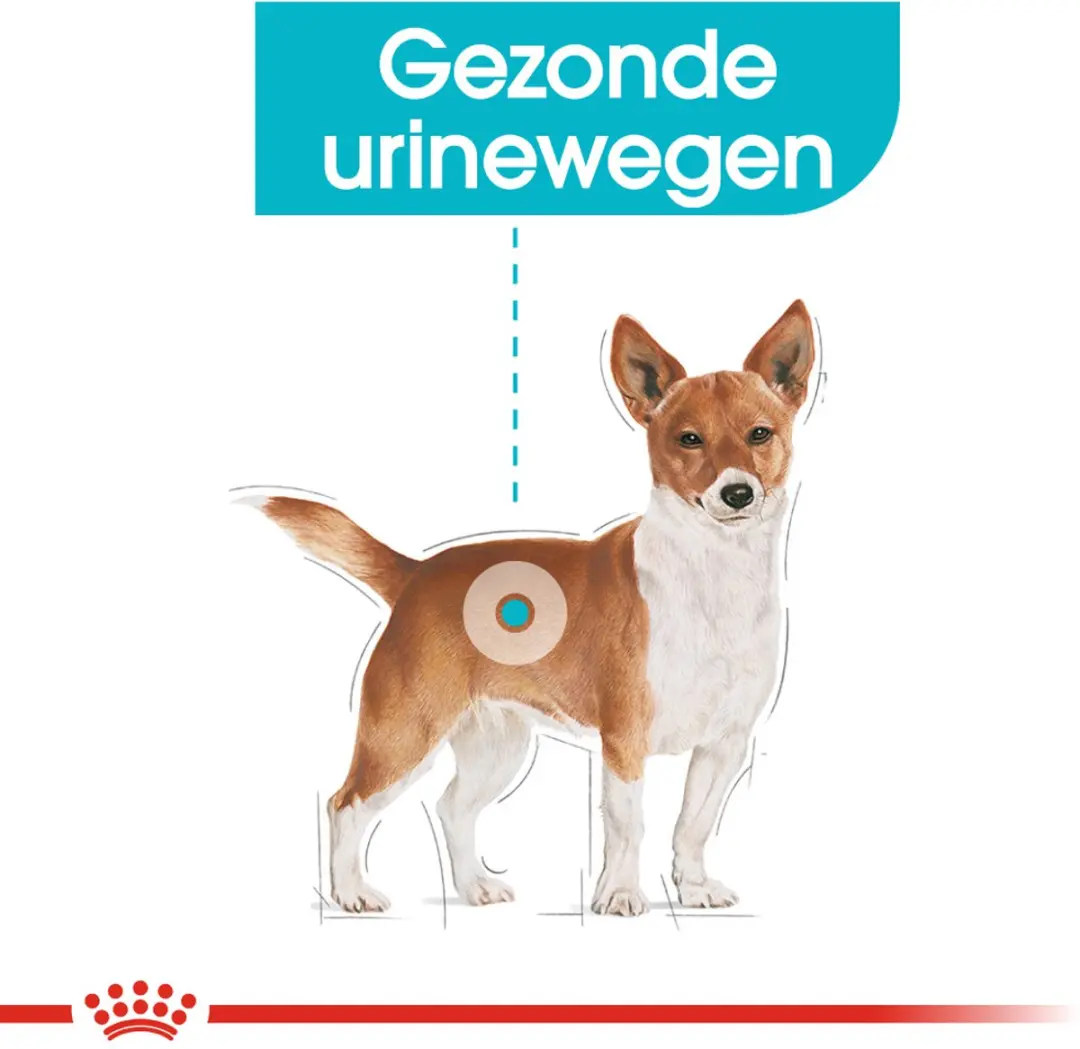 Royal Canin Urinary Care Mini Hondenvoer - 8 kg