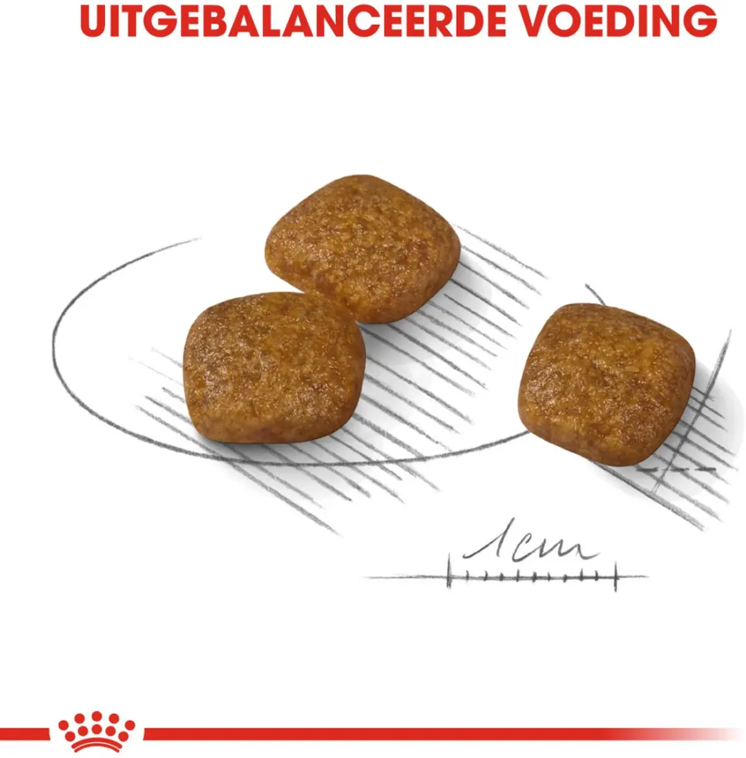 Royal Canin Urinary Care Mini Hondenvoer - 8 kg - afbeelding 6 van 6