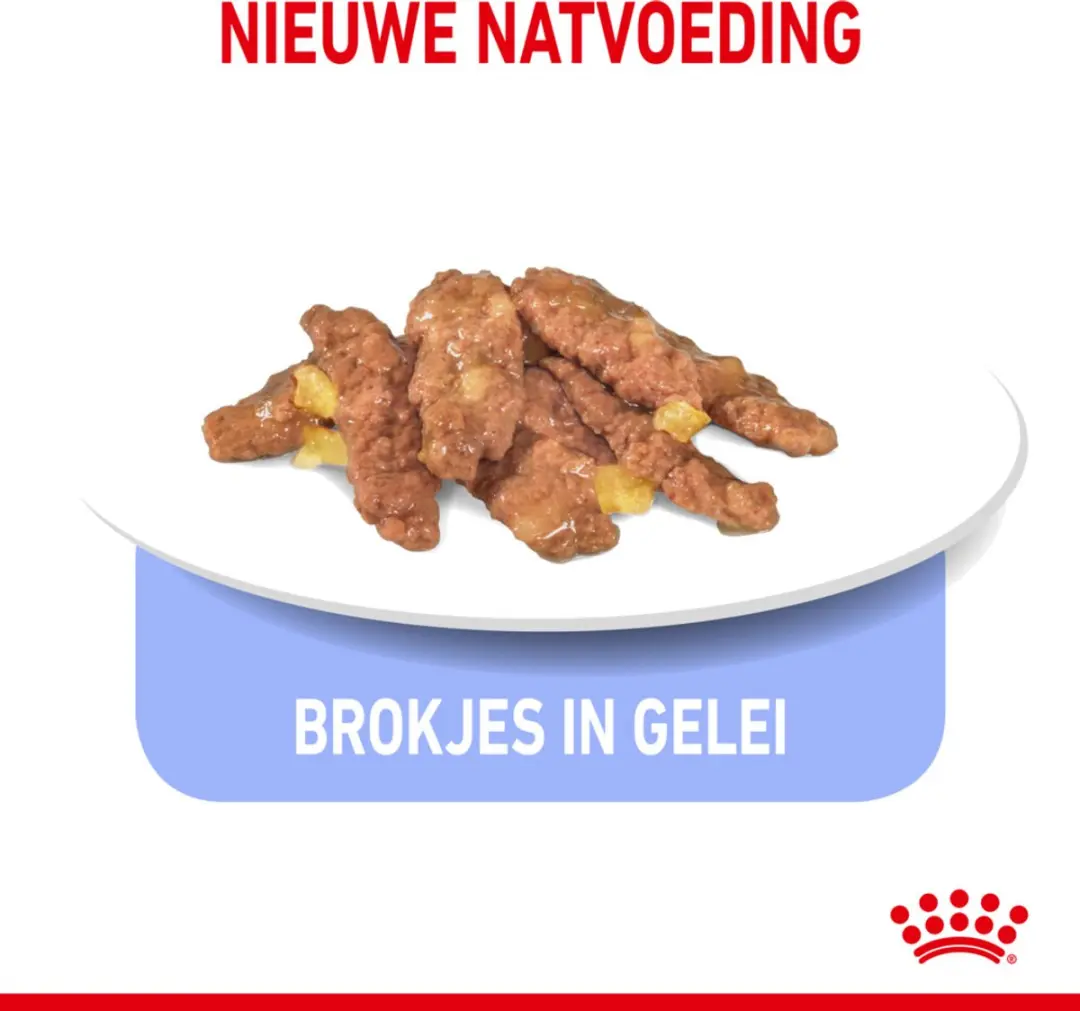 Royal Canin Indoor Jelly Kattenvoer - 48 x 85g