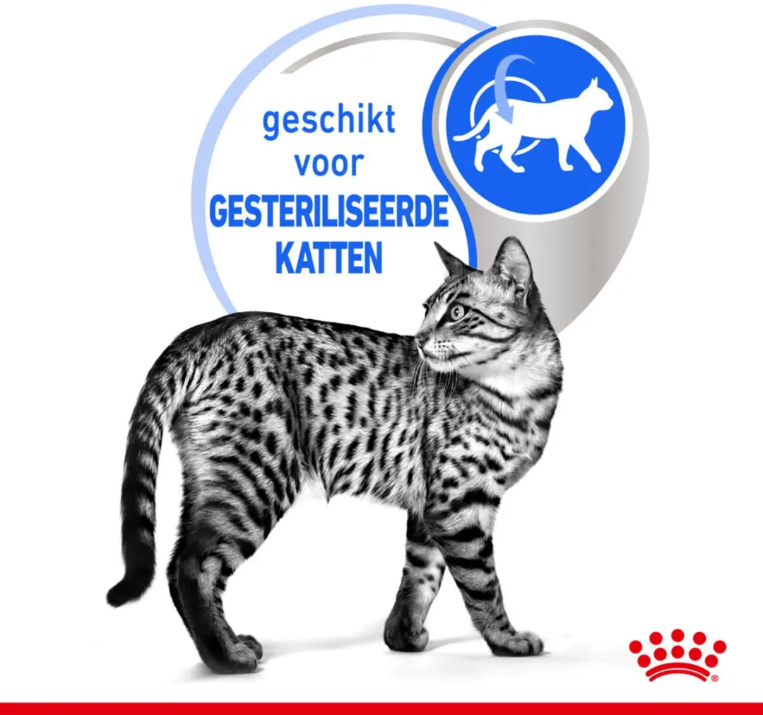 Royal Canin Indoor Jelly Kattenvoer - 48 x 85g